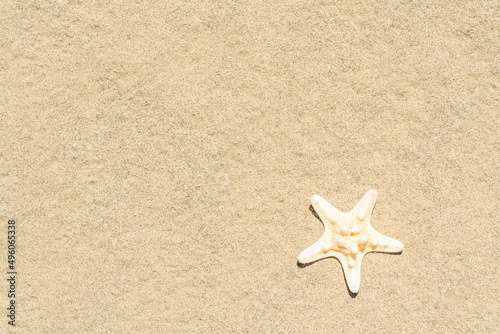 Starfish on sand. Sea summer vacation background. Copy space for the text. Top view