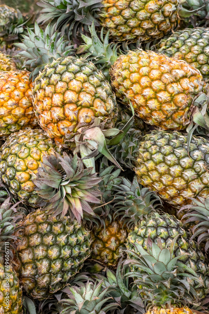 Vertical shot of a pile of organic fresh pineapple on the fruit market Vertical shot of a pile of organic fresh pineapple on the fruit market
