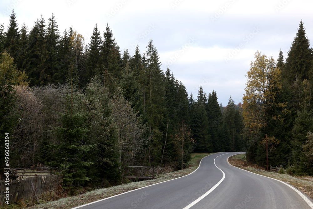 Beautiful view of asphalt highway going through coniferous forest. Autumn season Beautiful view of asphalt highway going through coniferous forest. Autumn season