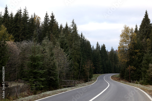 Beautiful view of asphalt highway going through coniferous forest. Autumn season