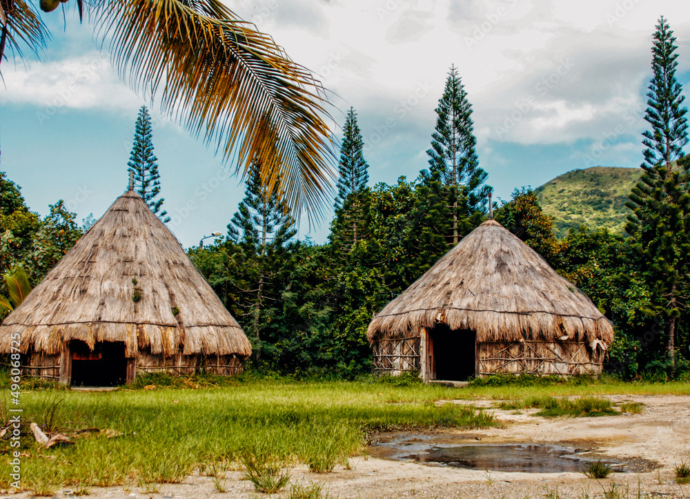 The virgin nature of New Caledonia with its beautiful landscapes The virgin nature of New Caledonia with its beautiful landscapes