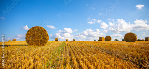 Paysage en campagne, agriculture en France pendant la moisson du blé. © Thierry RYO