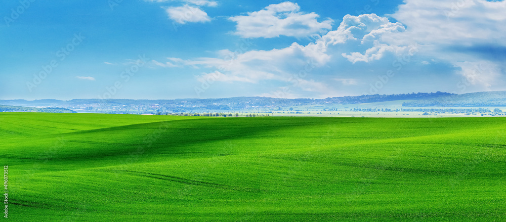 Fototapeta premium Rural landscape with green field and blue sky with white clouds