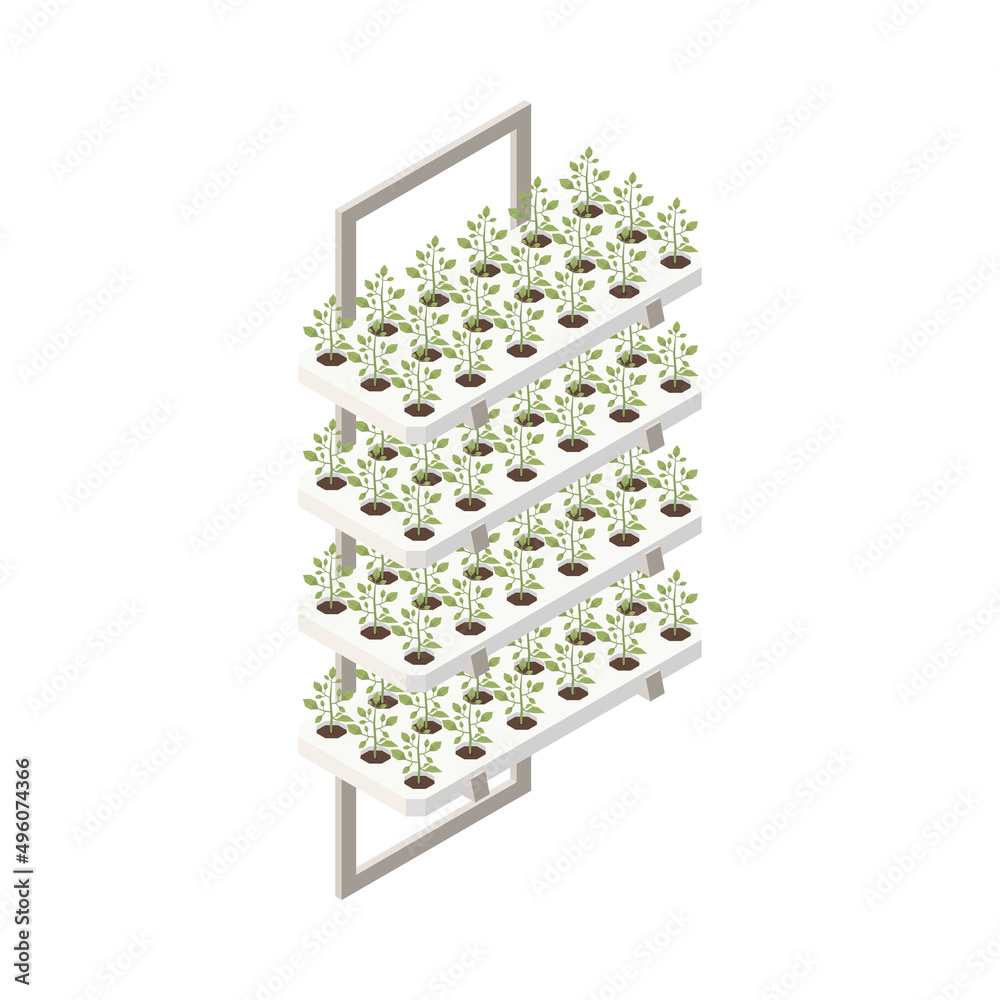 Fototapeta premium Frame With Plants Composition