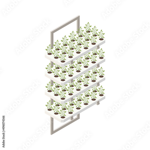 Frame With Plants Composition