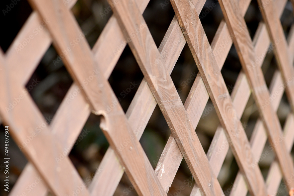 wood house tree timber architecture home construction wood house tree timber architecture home construction