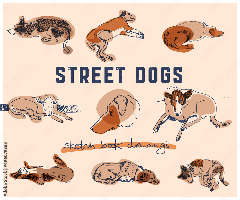 Drawings of street dogs of different breeds. Sketchbook freehand
