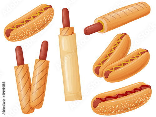 Hot Dog set. Illustration fast food in cartoon style. Sausage in a bun with mustard.