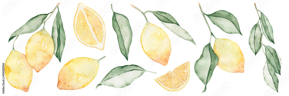 Watercolor set of sprigs of lemons and leaves. Yellow citrus fruit. Isolated on white background. Tropical food. Watercolor set of sprigs of lemons and leaves. Yellow citrus fruit. Isolated on white background. Tropical food.