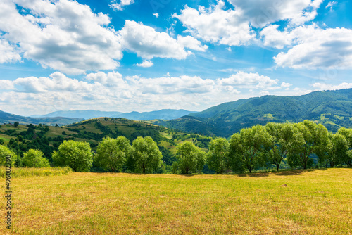 countryside summer scenery in mountains. panoramic view of scenic mizhhirya landscape with trees and meadows in the transcarpathian region of ukraine. warm sunny weather with fluffy clouds on the sky