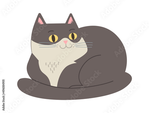 Lying cat domestic animal. Vector illustration