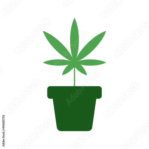 Cannabis cultivation vector icon. Grow weed in pot