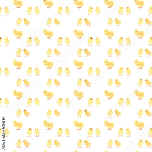 Fluffy yellow chickens watercolor spring seamless pattern