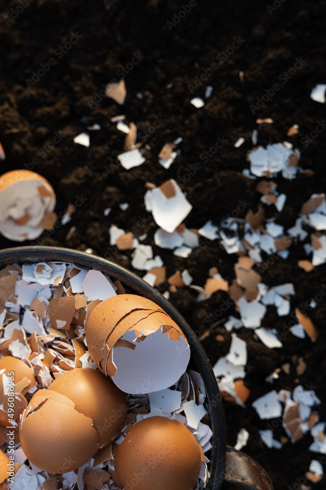 Egg shells for improving soil structure and quality. Stock Photo