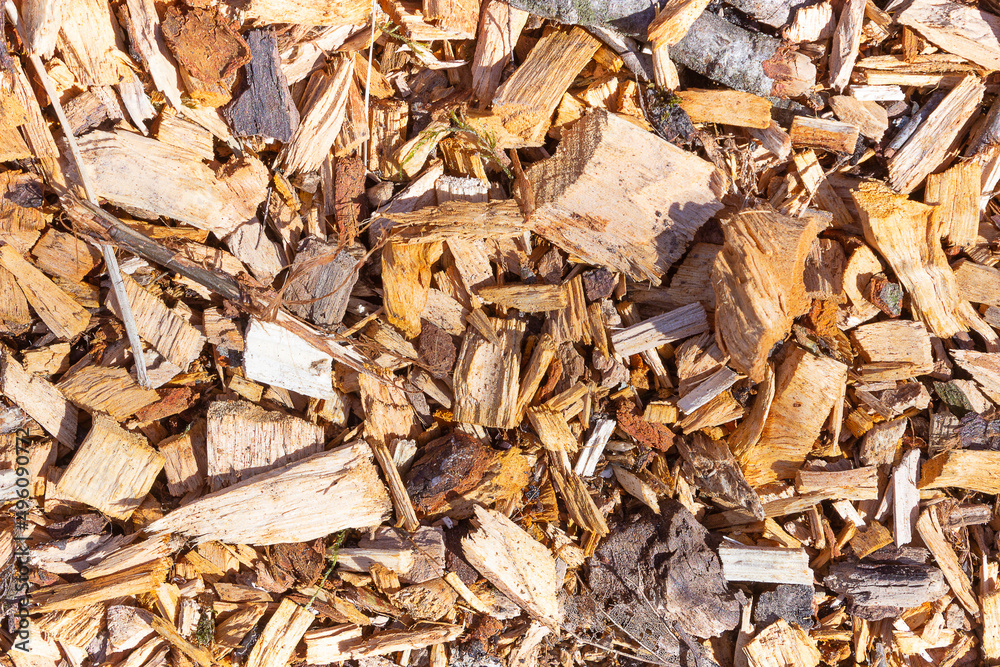 wood sawdust lie on the ground wood sawdust lie on the ground