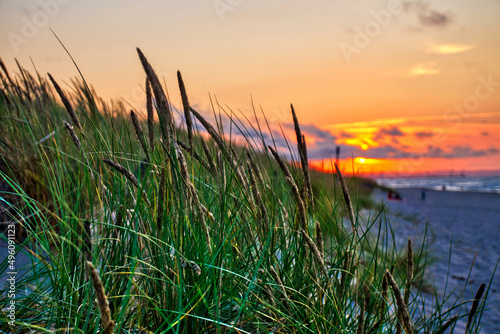 Reeds on dunes at sunset - Baltic Sea, Poland