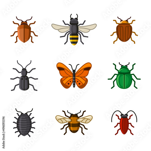 Insect Icons Set. Butterfly, Bug and Bee. Vector © Sergei Sizkov
