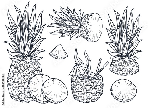 Pineapple fresh exotic juicy fruit. summer tropical nature ananas and organic for food bar