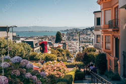 view of lombard street in san francisco photo
