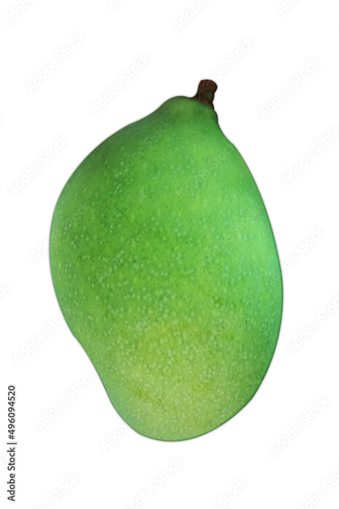 green mango with juicy and fresh isolate on white background. green mango with juicy and fresh isolate on white background.