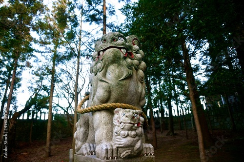 神社の狛犬