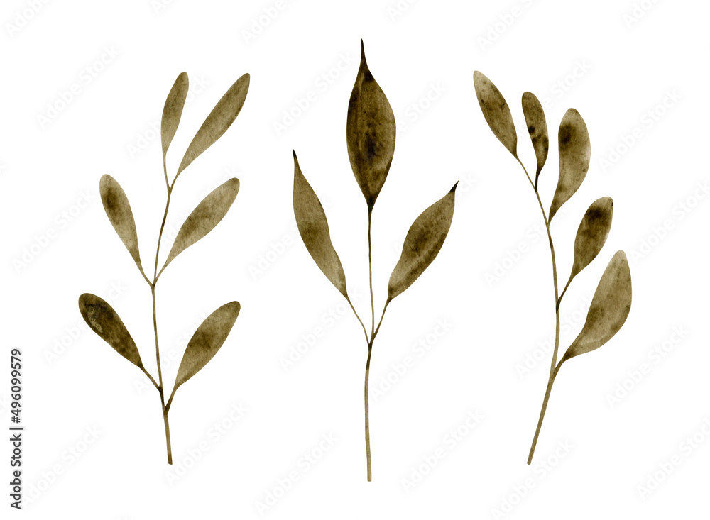 Decorative botanical elements isolated on white. Set of three hand-drawn watercolor leaves. Abstract foliage clip art. Decorative botanical elements isolated on white. Set of three hand-drawn watercolor leaves. Abstract foliage clip art.