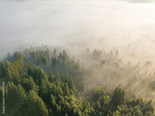 Fog envelops the mountain forest. The rays of the rising sun break through the fog. Aerial drone view.