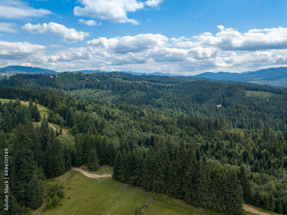 Green mountains of Ukrainian Carpathians in summer. Coniferous trees on the slopes. Aerial drone view.