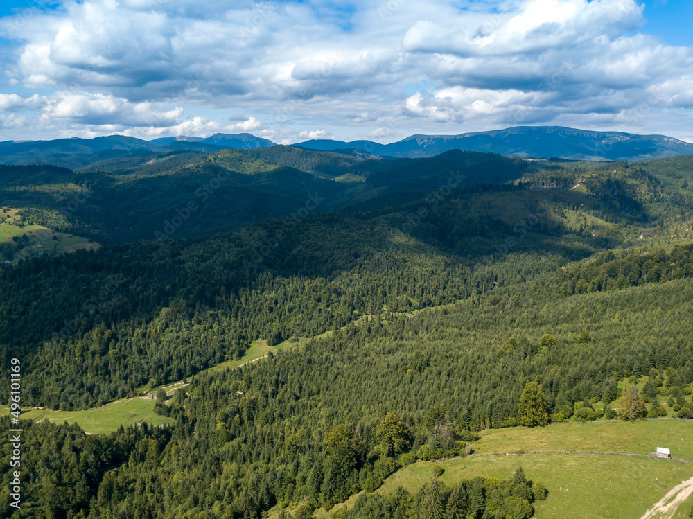 Green mountains of Ukrainian Carpathians in summer. Coniferous trees on the slopes. Aerial drone view.