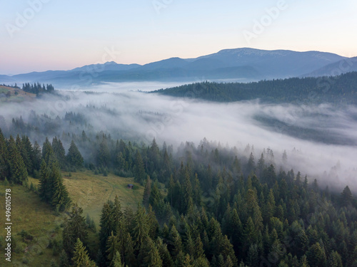 Green mountains of the Ukrainian Carpathians in the morning mist. Aerial drone view.