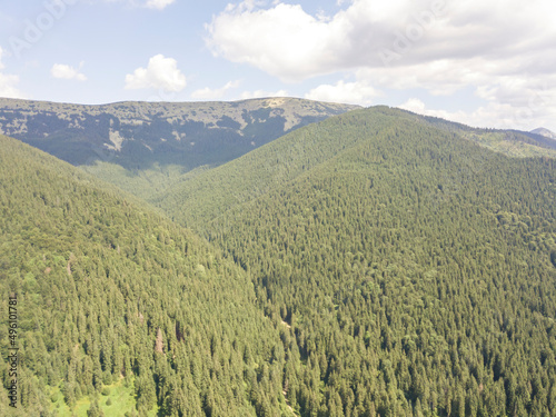 Green mountains of Ukrainian Carpathians in summer. Sunny day, rare clouds. Aerial drone view.