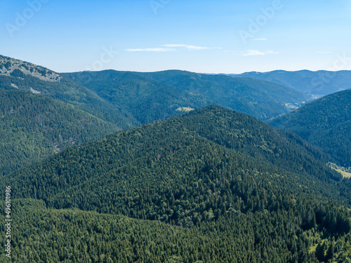 Green mountains of Ukrainian Carpathians in summer. Sunny clear day. Aerial drone view.
