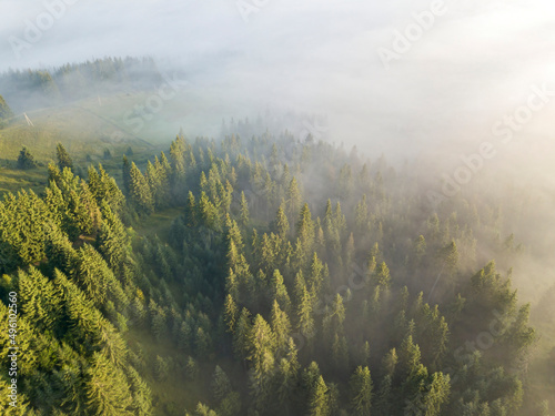 Fog envelops the mountain forest. The rays of the rising sun break through the fog. Aerial drone view.