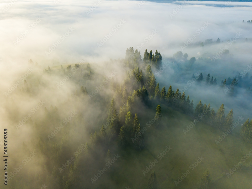 Foggy summer morning in the Ukrainian Carpathians. Aerial drone view.