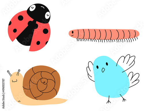 cute doodle line art cartoon of bug and critter in minimal style; ladybug, bird, Fototapet