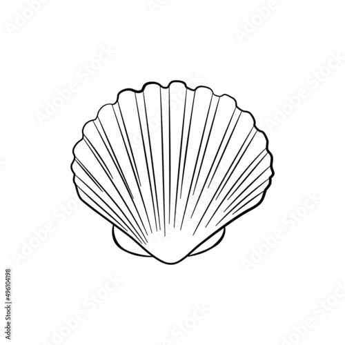 Fototapet Sea shell, scallop vector sketch illustration