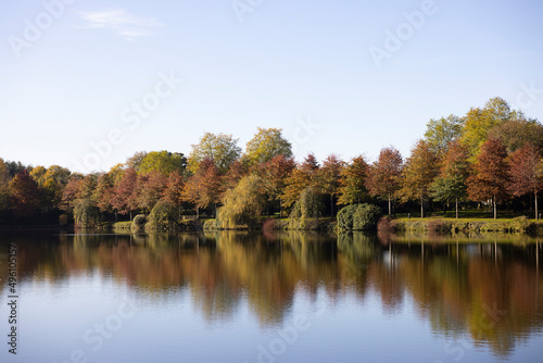 Lake in forest park water autumn