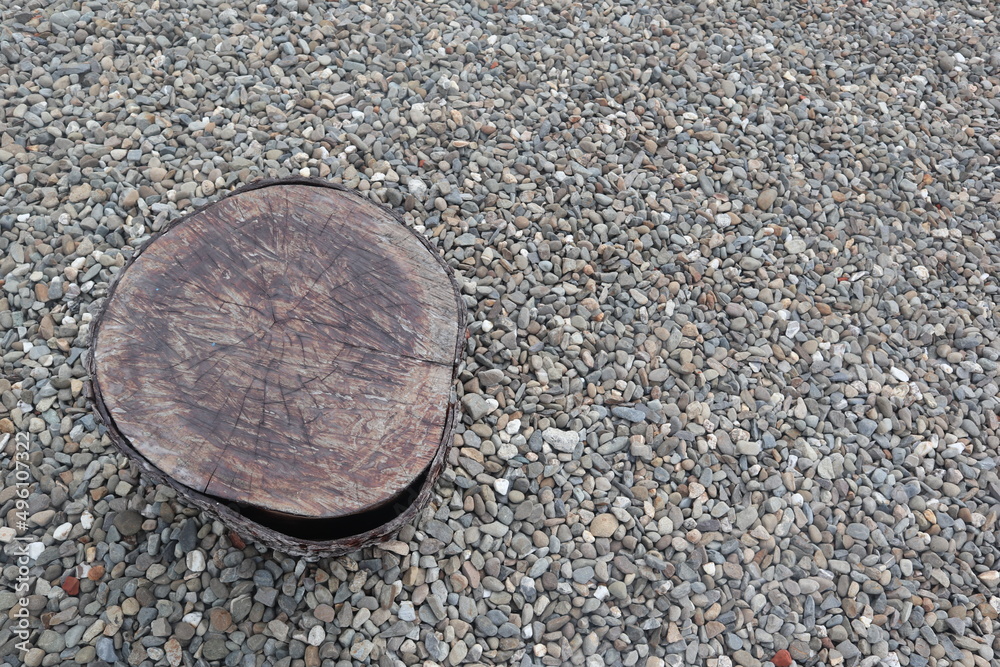 tree stump on the sand design for natural and gardening decoration concept tree stump on the sand design for natural and gardening decoration concept