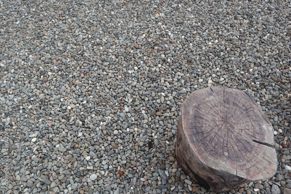 tree stump on the sand design for natural and gardening decoration concept tree stump on the sand design for natural and gardening decoration concept