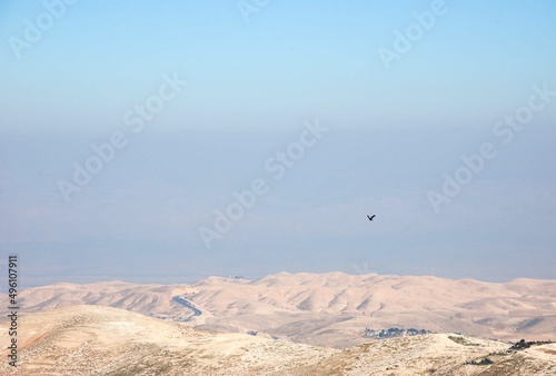 View of Judaean Desert from Mount Scopus with flying bird in the sky. Jerusalem, Israel. photo