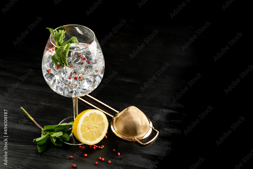 Modern Cocktail gin tonic herb spices fishbowl glass plain background