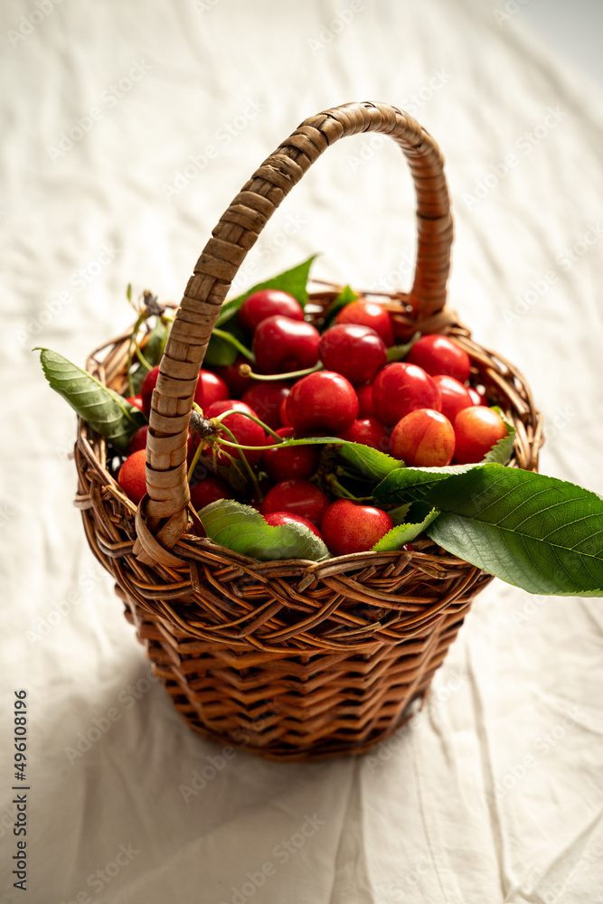 basket rustic of freshly harvested cherries fruit green leaves