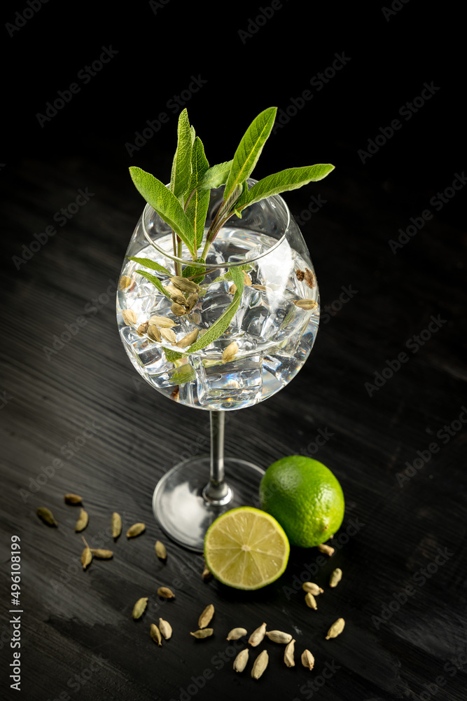 Modern Cocktail gin tonic herb spices fishbowl glass plain background