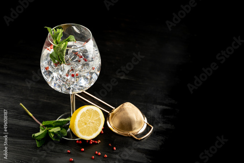 Obraz na płótnie Modern Cocktail gin tonic herb spices fishbowl glass plain background w salonie