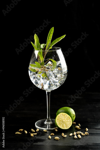 Modern Cocktail gin tonic herb spices fishbowl glass plain background