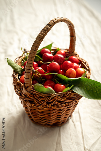 Obraz na płótnie basket rustic of freshly harvested cherries fruit green leaves w salonie
