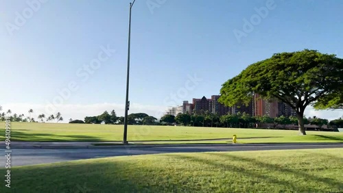 Driving through the Honolulu skyline and palm trees.