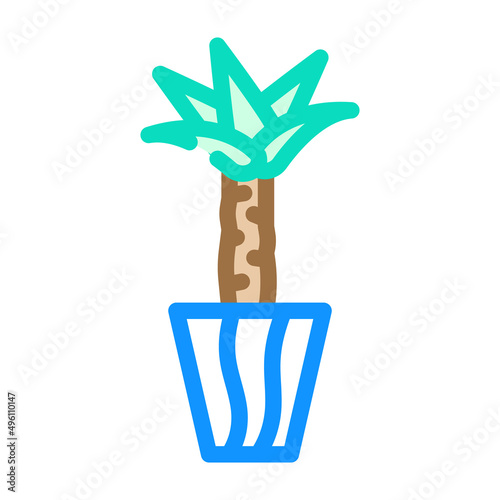 yucca-elephantipes color icon vector. yucca-elephantipes sign. isolated symbol illustration