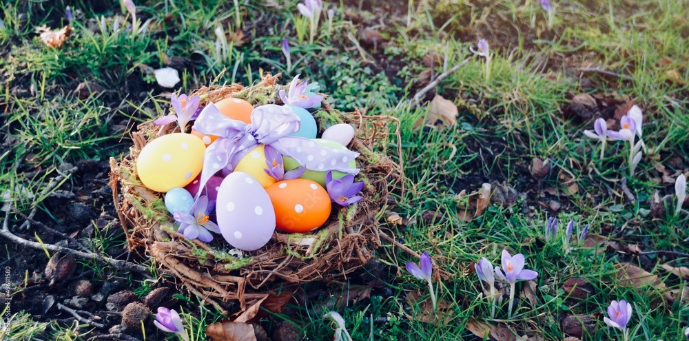 easter eggs in the nest - easter decoration in the garden - greeting card and background banner easter eggs in the nest - easter decoration in the garden - greeting card and background banner