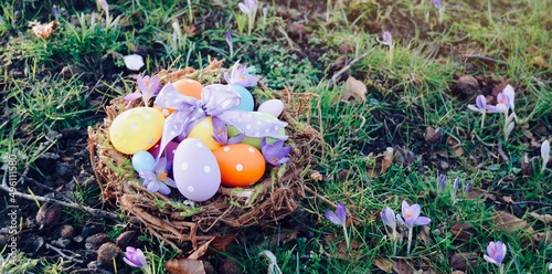 Photography easter eggs in the nest - easter decoration in the garden - greeting card and ba